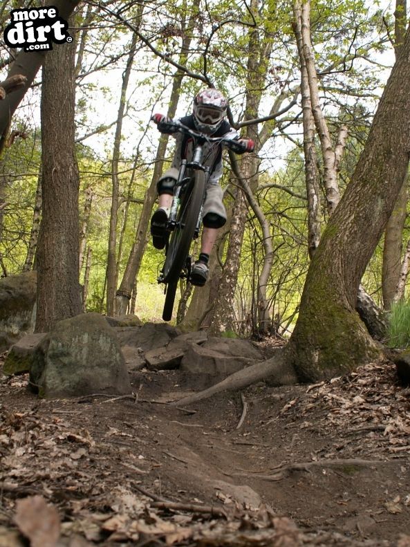Wharncliffe Woods - DH Trails