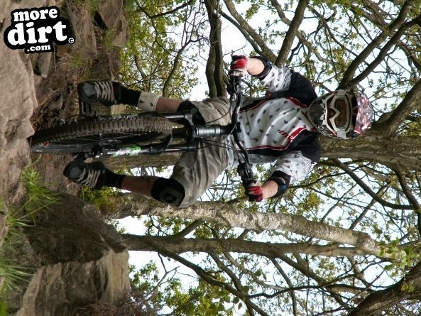 Wharncliffe Woods - DH Trails