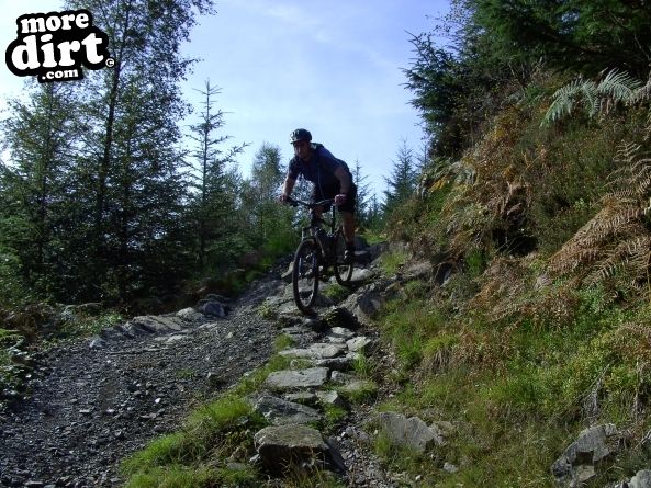 Black Craigs Trail - Kirroughtree