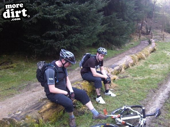 Dalby Forest Red Trail