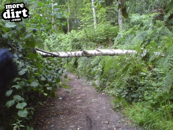 The Wrekin & Ercall Trails