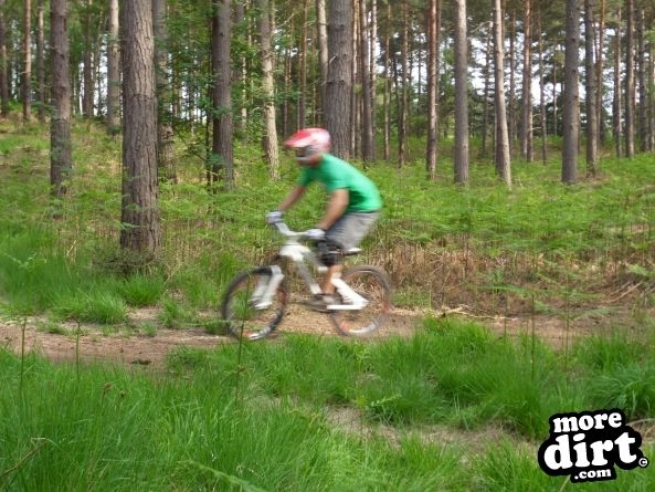 Swinley Forest Mountain Bike Centre