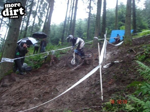 Ae Downhill Trail