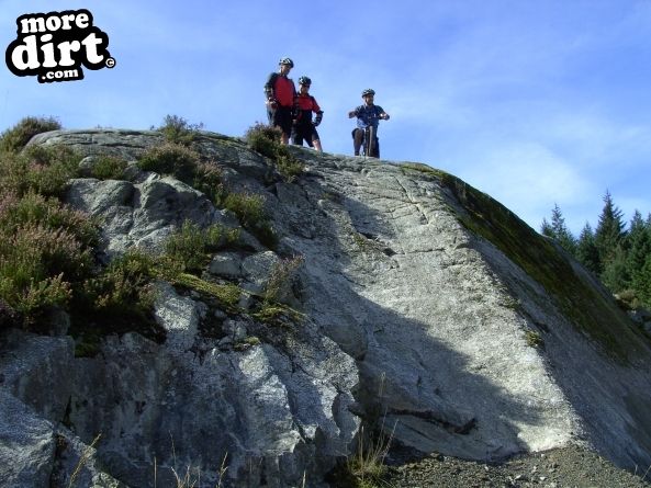 Black Craigs Trail - Kirroughtree