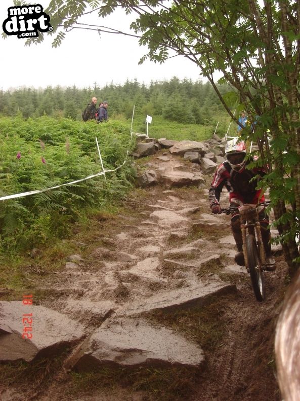 Ae Downhill Trail