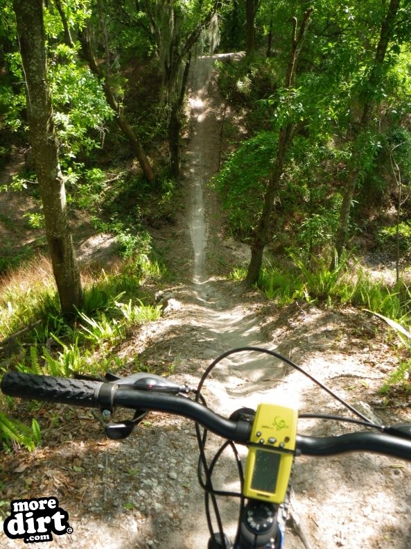 Alafia River State Park