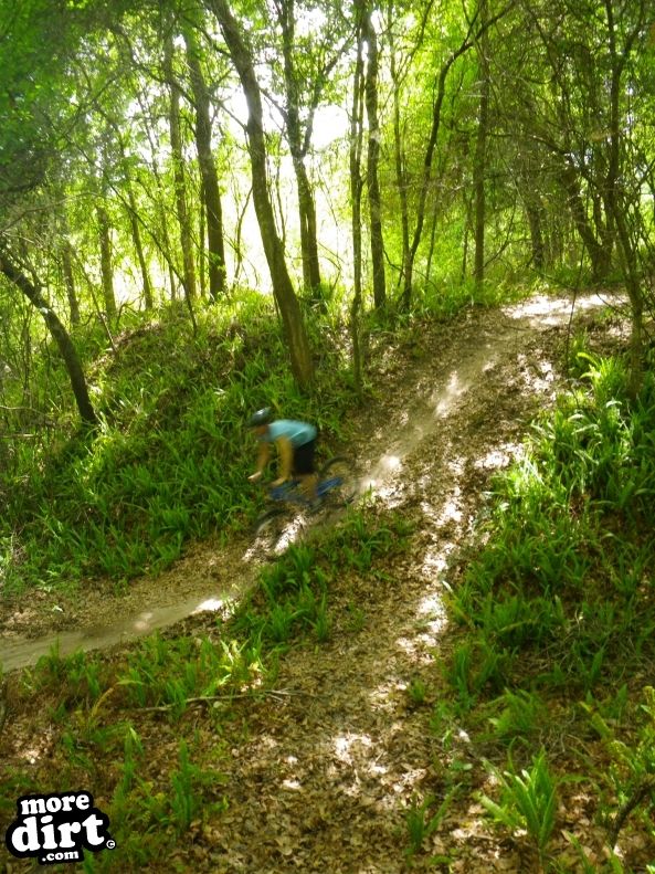 Alafia River State Park