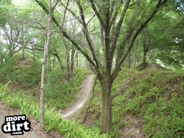 Alafia River State Park