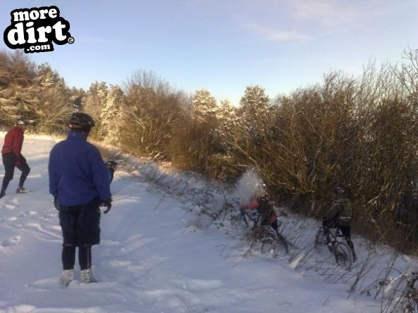 Dalby Forest Red Trail