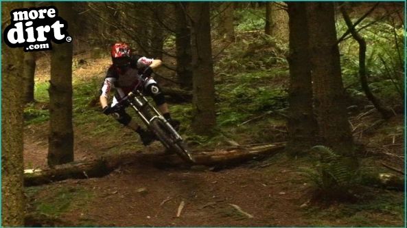 Triscombe Mountain Bike Trails