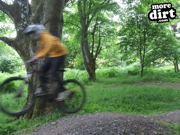 The Soup Dragon Trail, Ordiequish