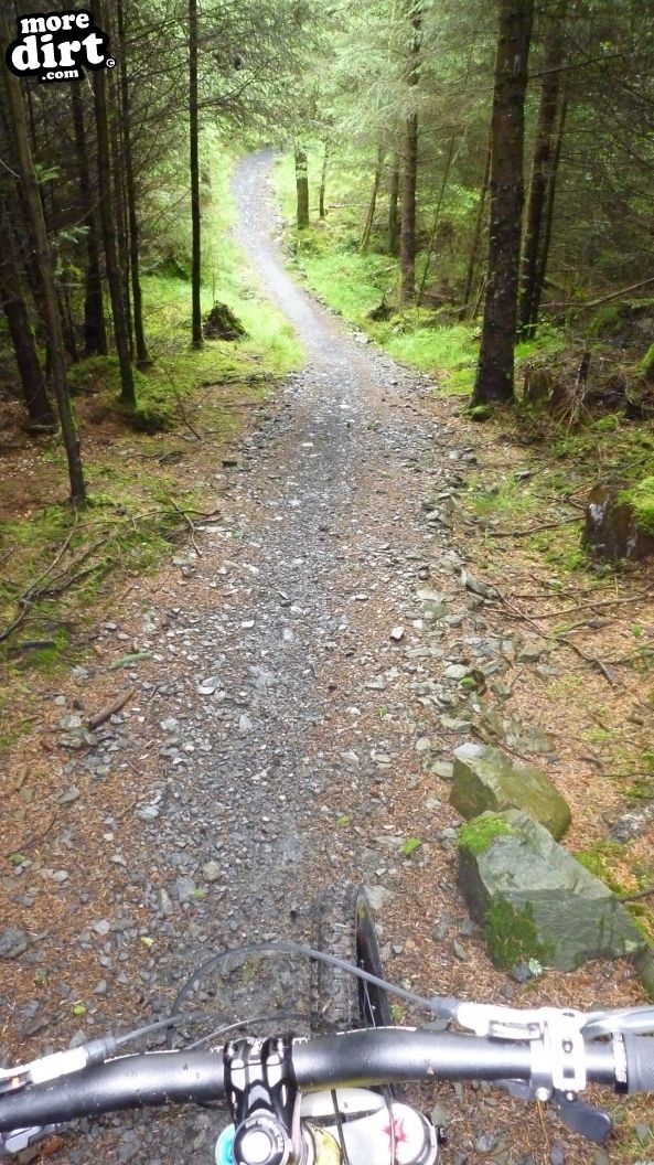 The Twister Trail - Kirroughtree