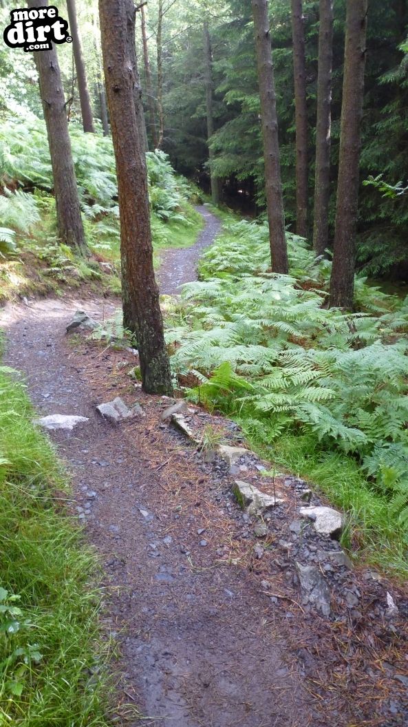 The Twister Trail - Kirroughtree