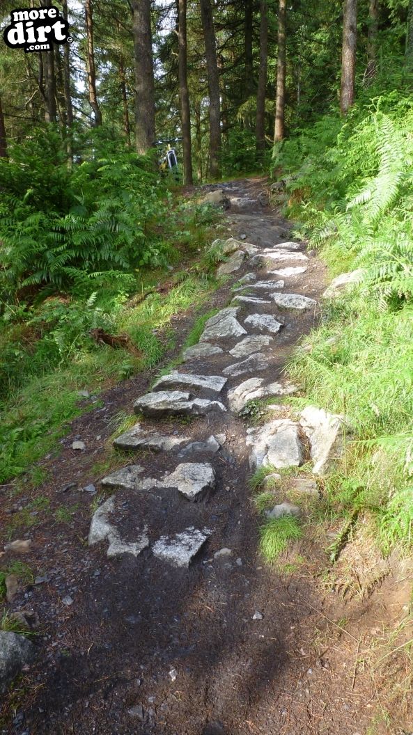 The Twister Trail - Kirroughtree