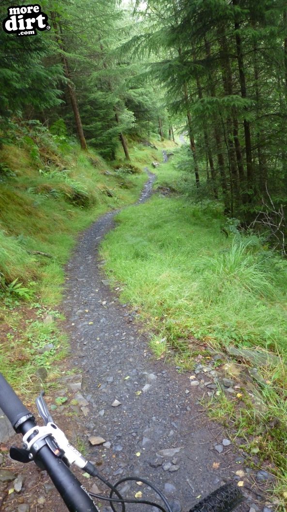 The Twister Trail - Kirroughtree
