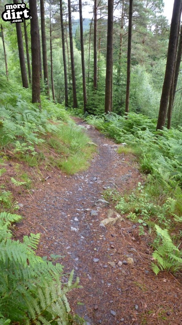 The Twister Trail - Kirroughtree
