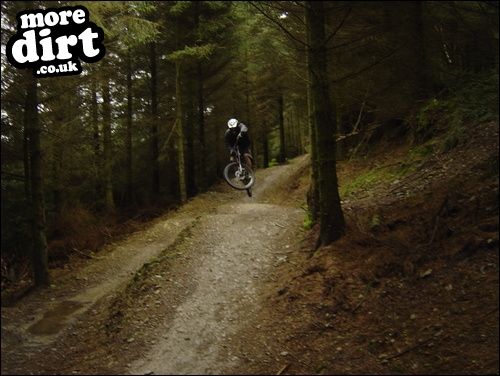 Black Trail - Coed Llandegla Forest