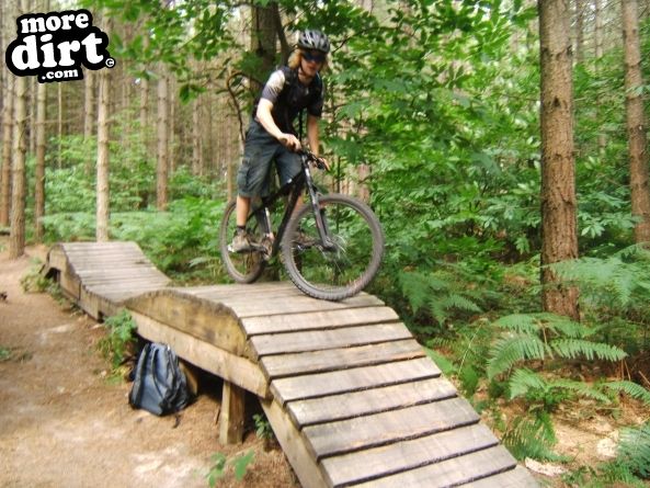 Bedgebury Freeride Area