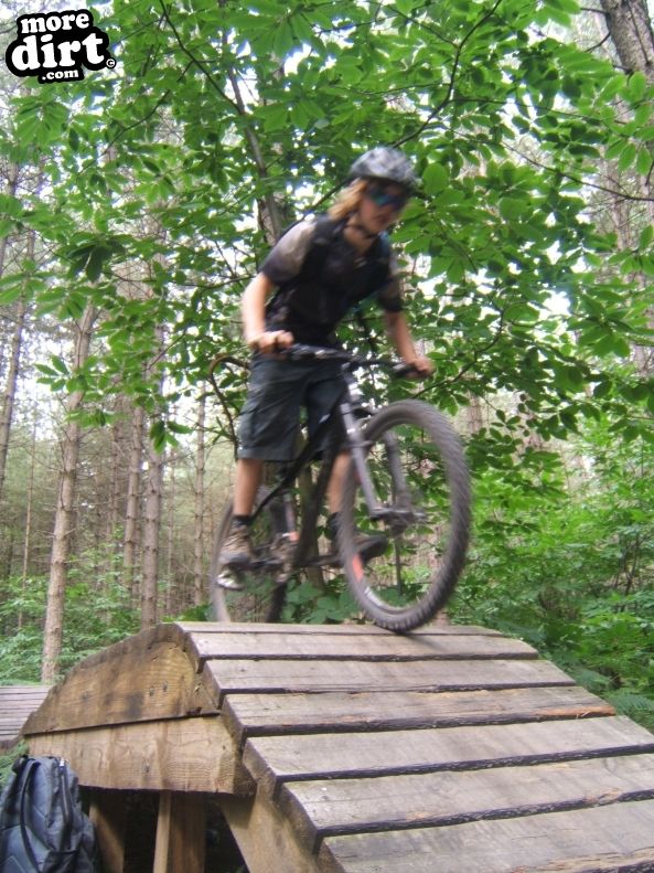 Bedgebury Freeride Area