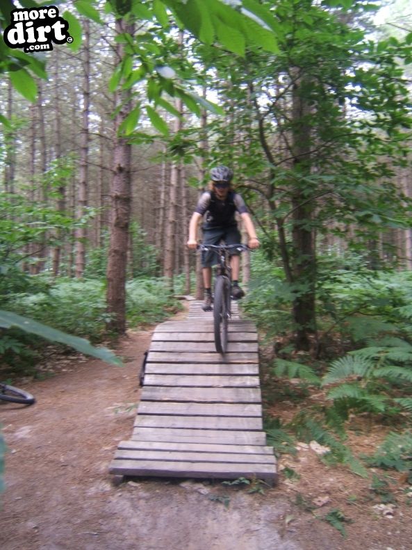 Bedgebury Freeride Area