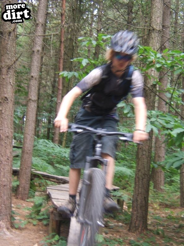 Bedgebury Freeride Area