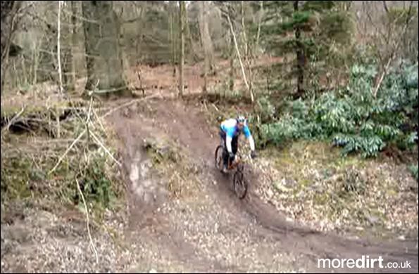 Phoenix Trail - Mabie Forest