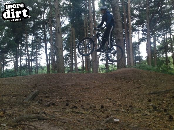 Delamere Forest Mountain Bike Trails