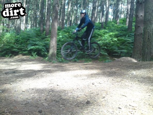 Delamere Forest Mountain Bike Trails