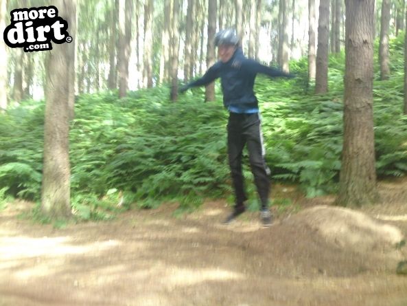 Delamere Forest Mountain Bike Trails