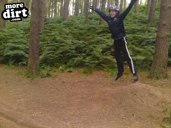Delamere Forest Mountain Bike Trails