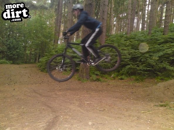 Delamere Forest Mountain Bike Trails