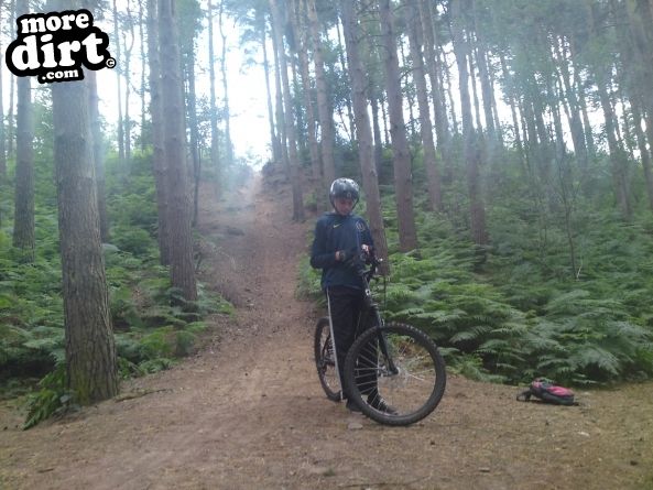 Delamere Forest Mountain Bike Trails