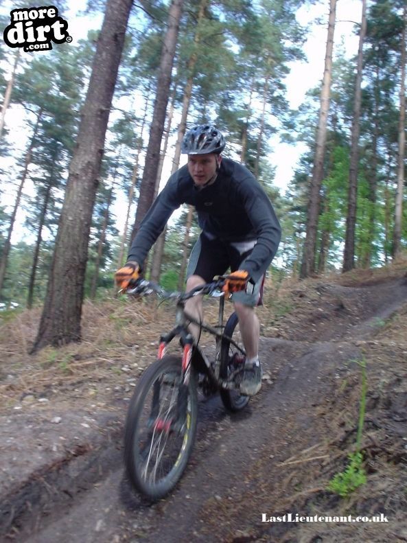 Swinley Forest Mountain Bike Centre