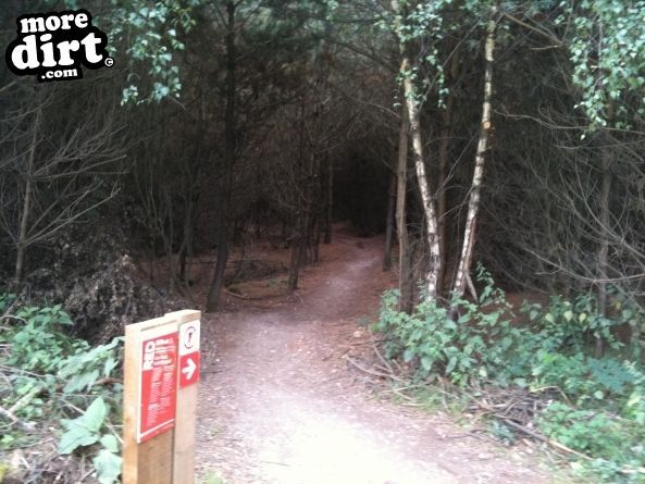 Follow the Dog Trail - Cannock Chase