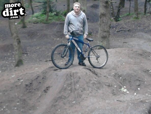 Follow the Dog Trail - Cannock Chase