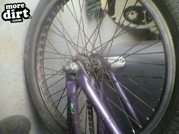 Follow the Dog Trail - Cannock Chase