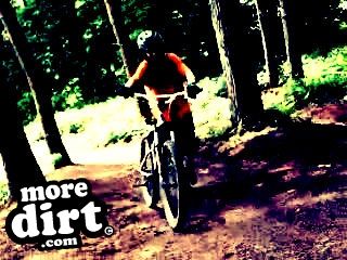 Delamere Forest Mountain Bike Trails