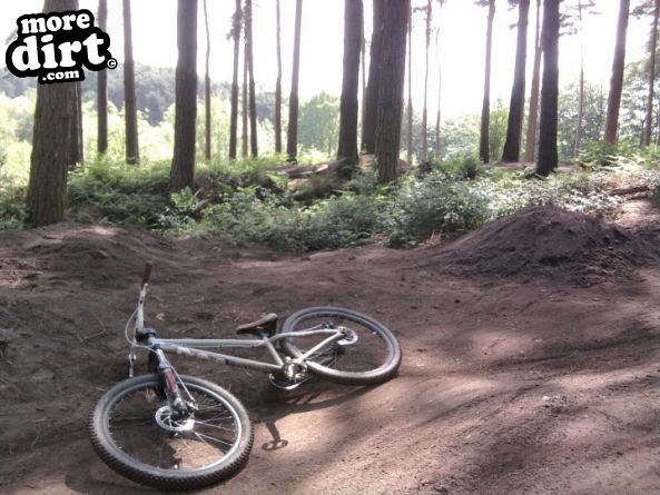 Delamere Forest Mountain Bike Trails