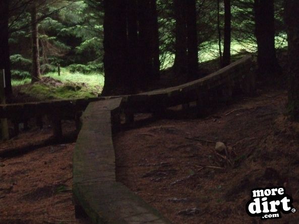 Deadwater Trail - Kielder Forest