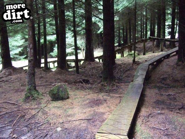 Deadwater Trail - Kielder Forest
