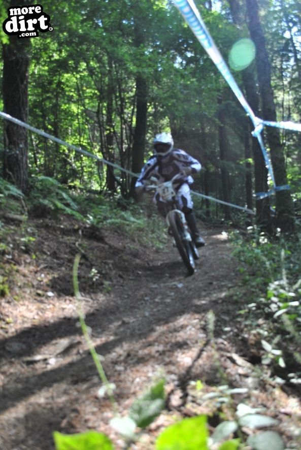 Gawton Mountain Bike Trails