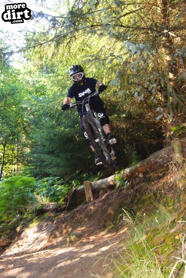 Silton Forest Downhill Track