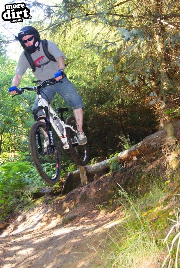 Silton Forest Downhill Track