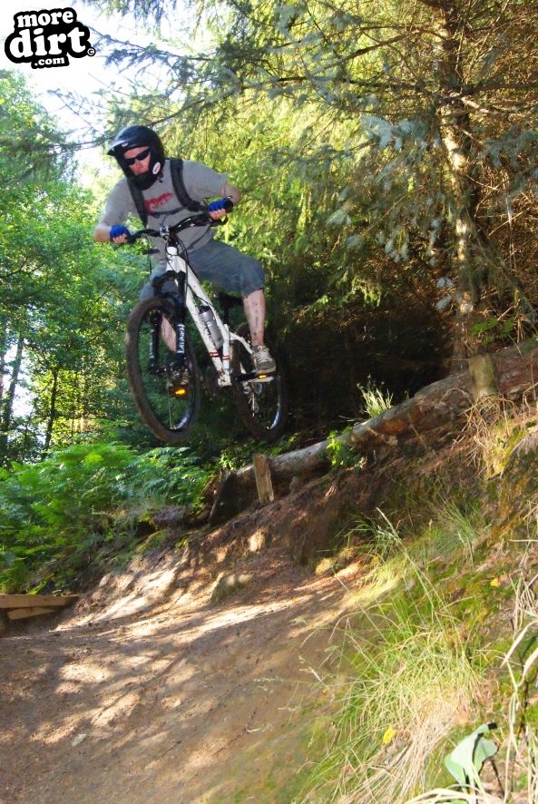 Silton Forest Downhill Track