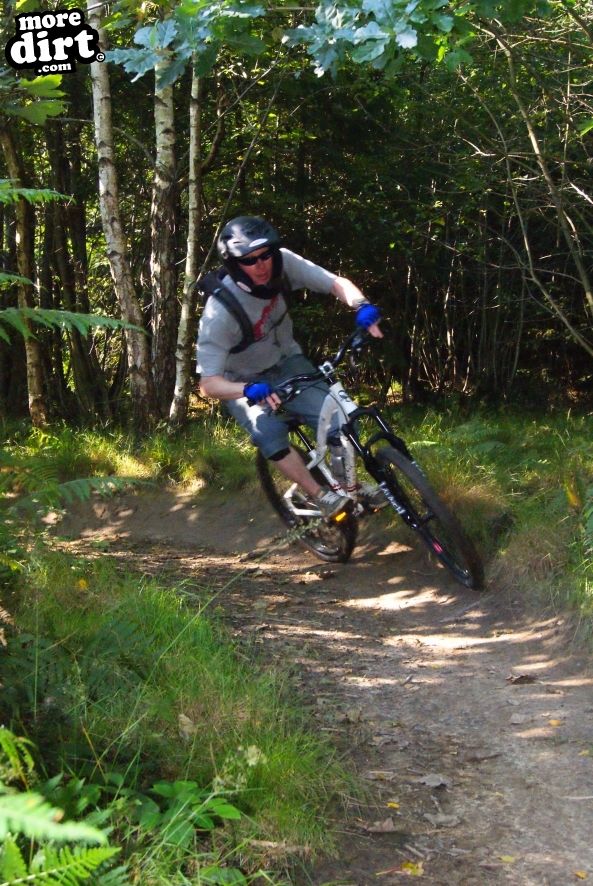 Silton Forest Downhill Track
