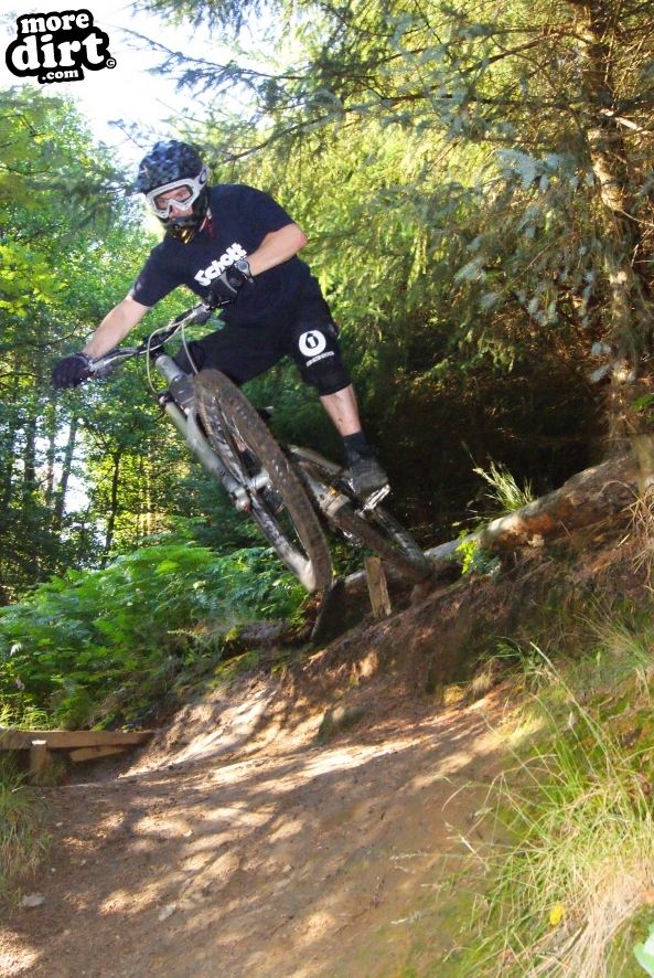 Silton Forest Downhill Track