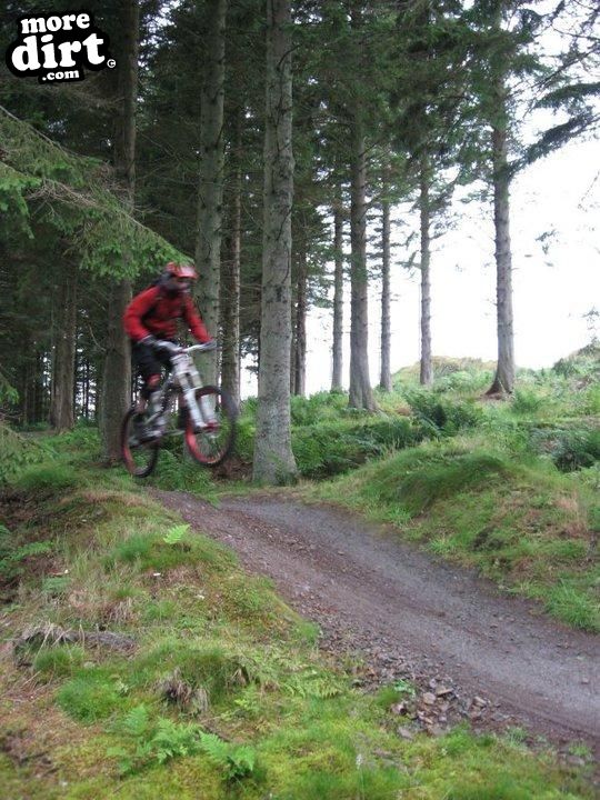 The Red Trail - Glentress