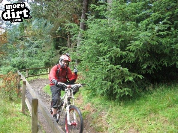 The Red Trail - Glentress