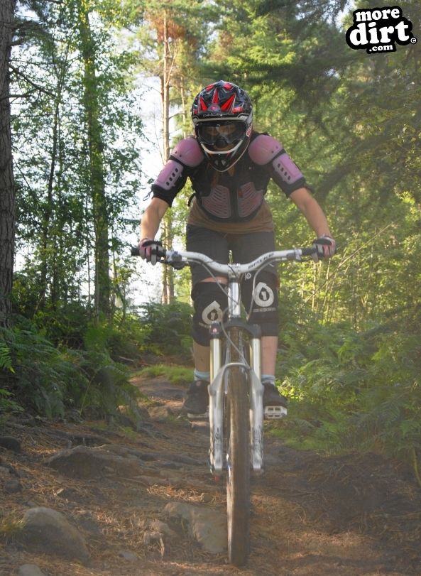 Silton Forest Downhill Track