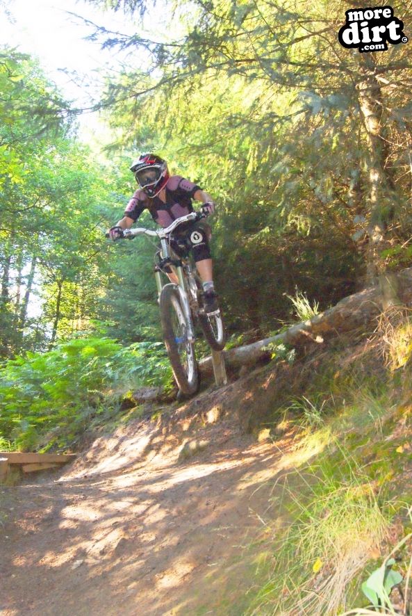 Silton Forest Downhill Track